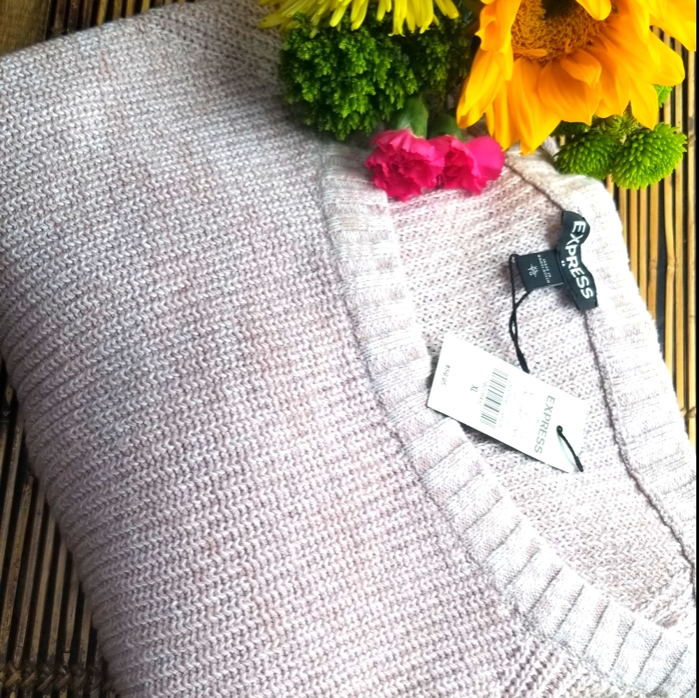 Light Pink Express Sweater